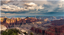Banner Picture
